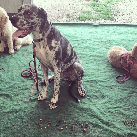 My baby needs surgery! - Picture 6 of 10